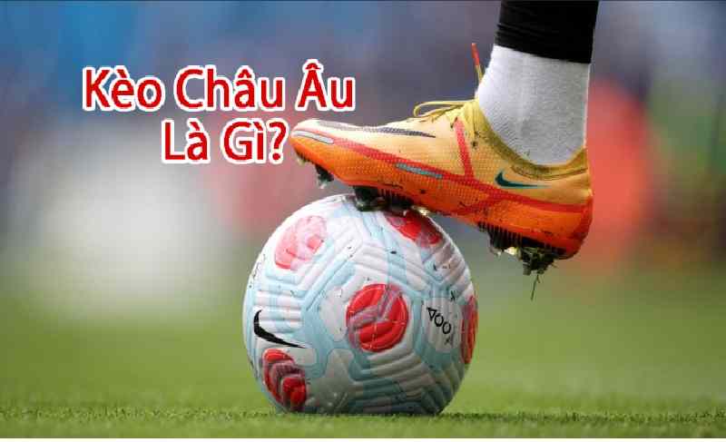 keo chau au la gi 1 Kinh nghiệm chơi kèo Châu Âu kiếm tiền cực dễ