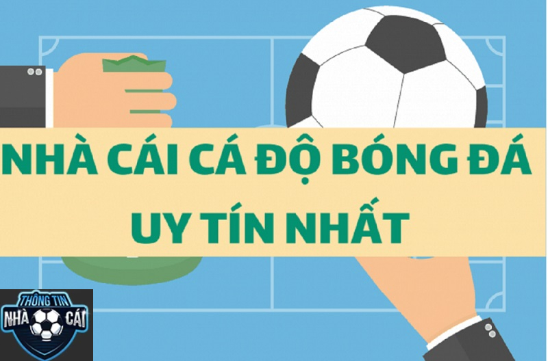Vi Sao Phai Chon Trang Ca Cuoc Bong da an toan va dang tin cay Vì Sao Phải Chọn Trang Cá Cược Bóng Đá An Toàn Và Đáng Tin Cậy?