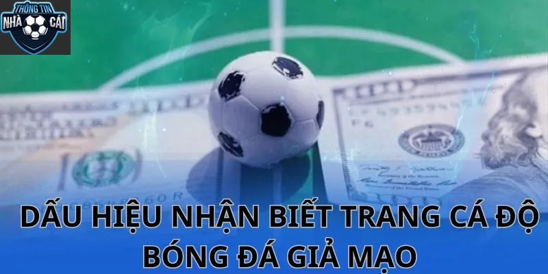 dau hieu nhan biet trang ca cuoc bong da bi cam Dấu Hiệu Nhận Biết Những Trang Cá Cược Bóng Đá Bị Cấm
