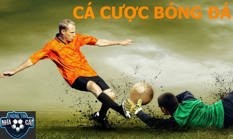 vi sao can lua chon dung trang ca cuoc bong da cho nguoi moi Vì sao cần chọn đúng Trang Cá Cược Bóng Đá Cho Người Mới?
